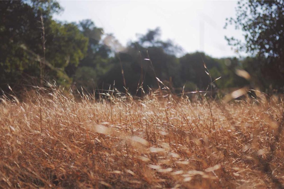 Military career planning